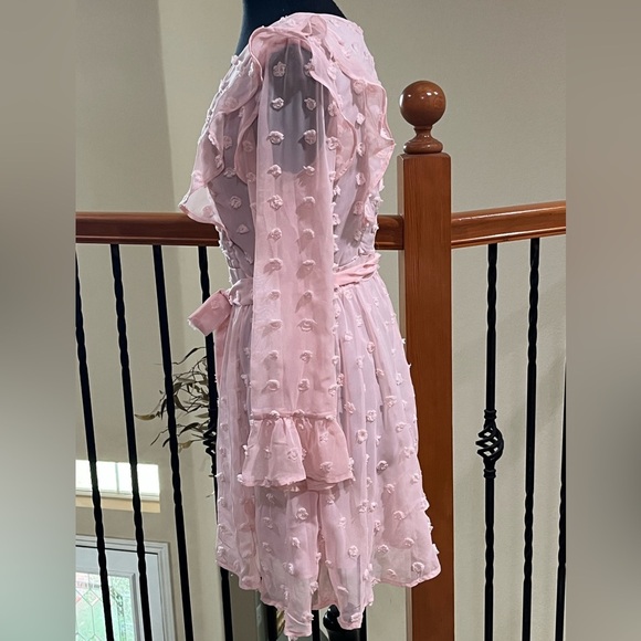 Woven Pink SWISS DOT, V NECK RUFFLE TRIM LONG SLEEVE FEMININE MINI DRESS SIZE M - Picture 9 of 13